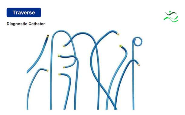 Diagnostic Catheter